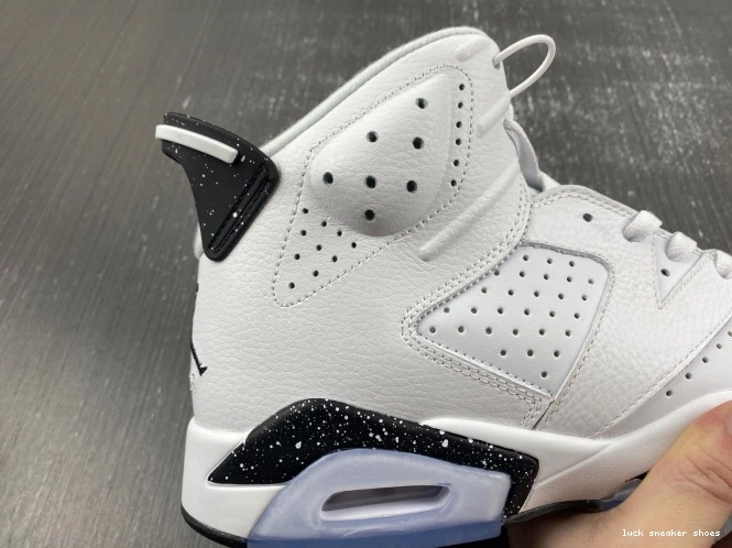 Rep LUCY Jordan Oreo 6 Reverse Air CT8529-112 0701